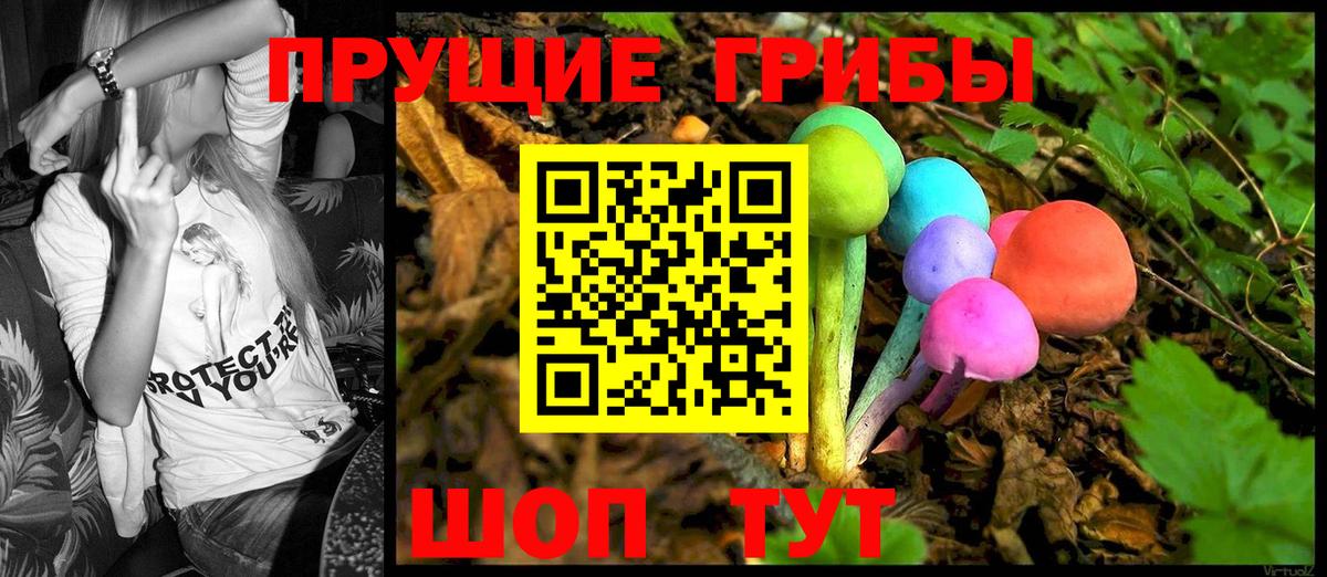 Междуреченск  Галлюциногенные грибы GOLDEN TEACHER  Галлюциногенные грибы MAGIC MUSHROOMS  Вход с VPN 