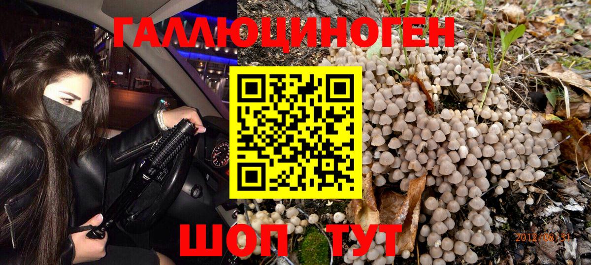 Галлюциногенные грибы GOLDEN TEACHER  Псилоцибиновые грибы мицелий  Междуреченск 