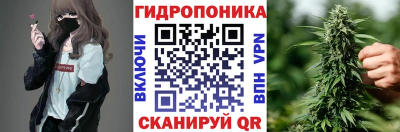 kraken рабочий сайт  как найти закладки  Междуреченск  Бошки Шишки планчик 